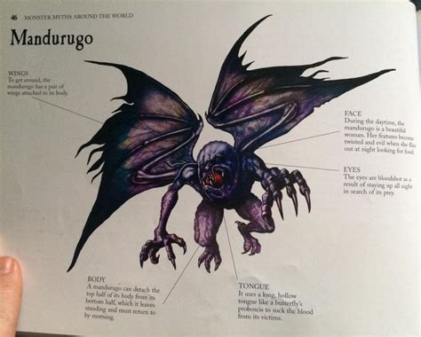 mandurugo .